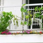Bed & Breakfast Sorriso