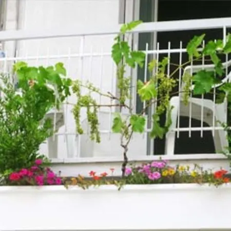 Bed & Breakfast Sorriso