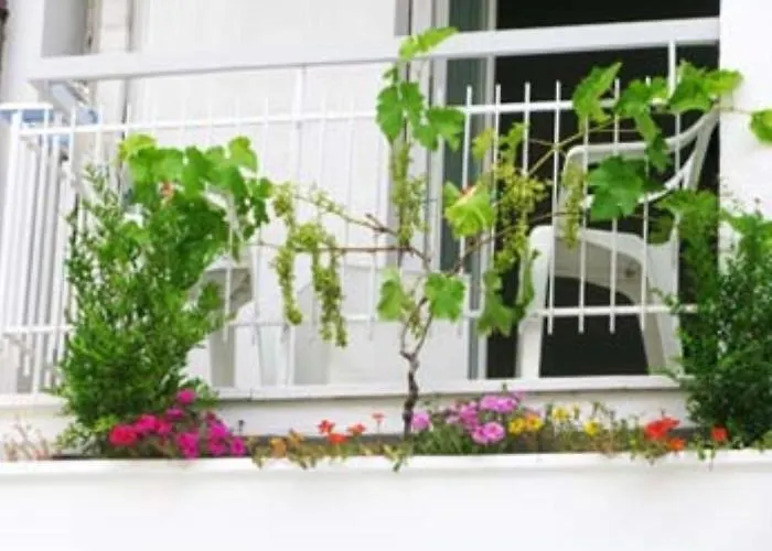 Oda ve Kahvaltı Sorriso